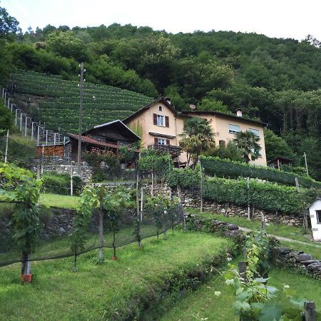 Casa Immersa Nel Vigneto Roveredo Exteriör bild
