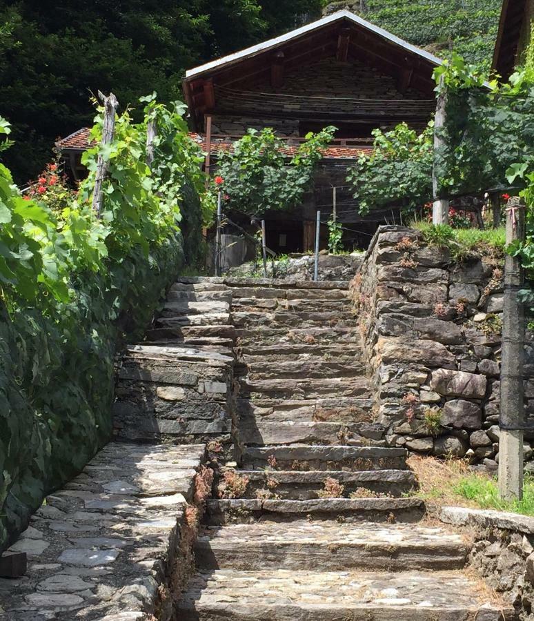 Casa Immersa Nel Vigneto Roveredo Exteriör bild